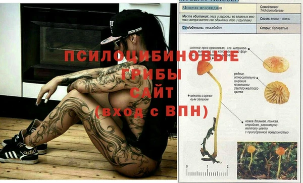 кокаин колумбия Навашино