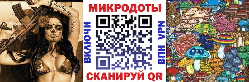 Псилоцибиновые грибы Psilocybine cubensis  Чебаркуль 