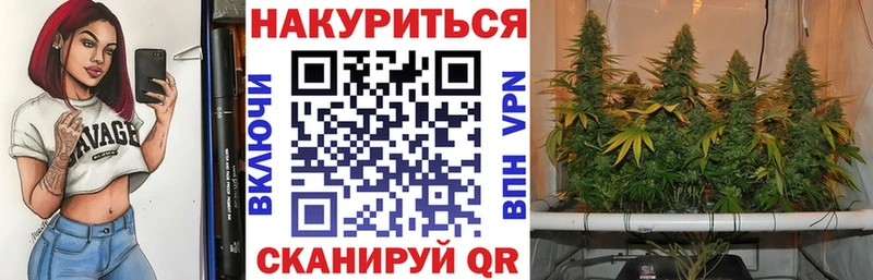 даркнет клад  Чебаркуль  Каннабис ГИДРОПОН  мега рабочий сайт 